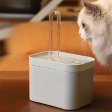 Fontaine à Eau Pour Chat