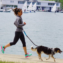 Laisse Main-Libre Élastique Pour Chien