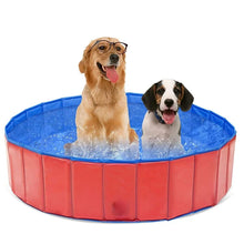 Piscine Pliable pour Chiens