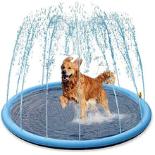 Piscine jets d’eau pour chien