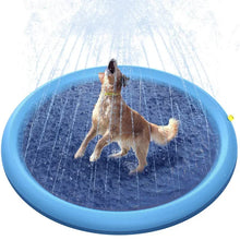 Piscine jets d’eau pour chien