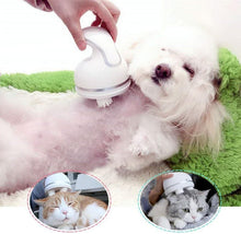 Masseur Pour Chat et chien